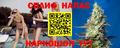 jwh Ставрополь