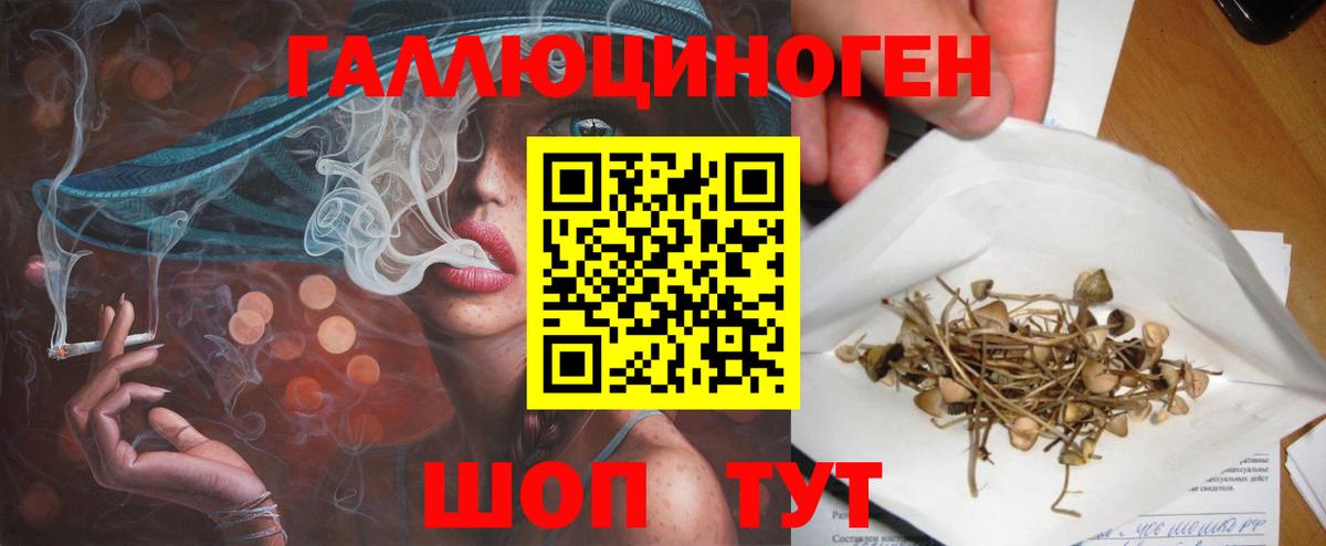 Псилоцибиновые грибы GOLDEN TEACHER  Вход с VPN  Бахчисарай 